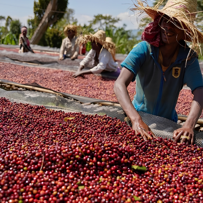 Ethiopian Yirgacheffe