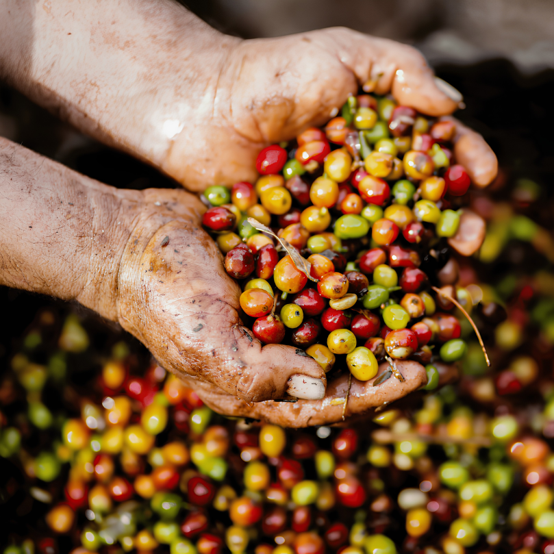 Colombian Rich Roast